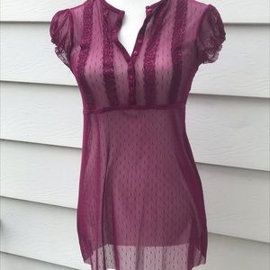 Express short sleeved sheer mesh top💋💋